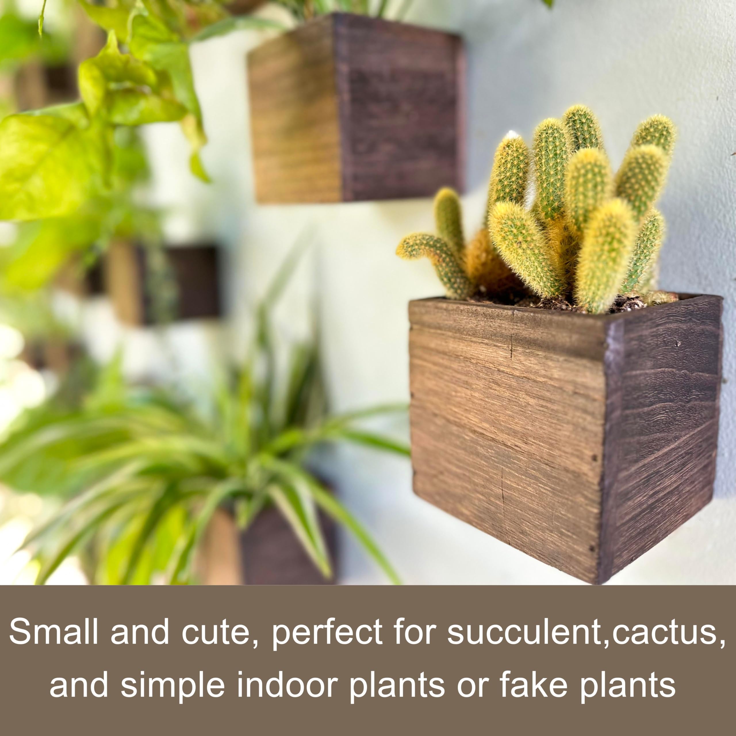 LáLáGreen wooden planter box displayed on a tabletop