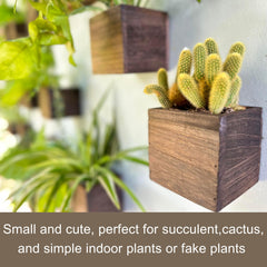 LáLáGreen wooden planter box displayed on a tabletop
