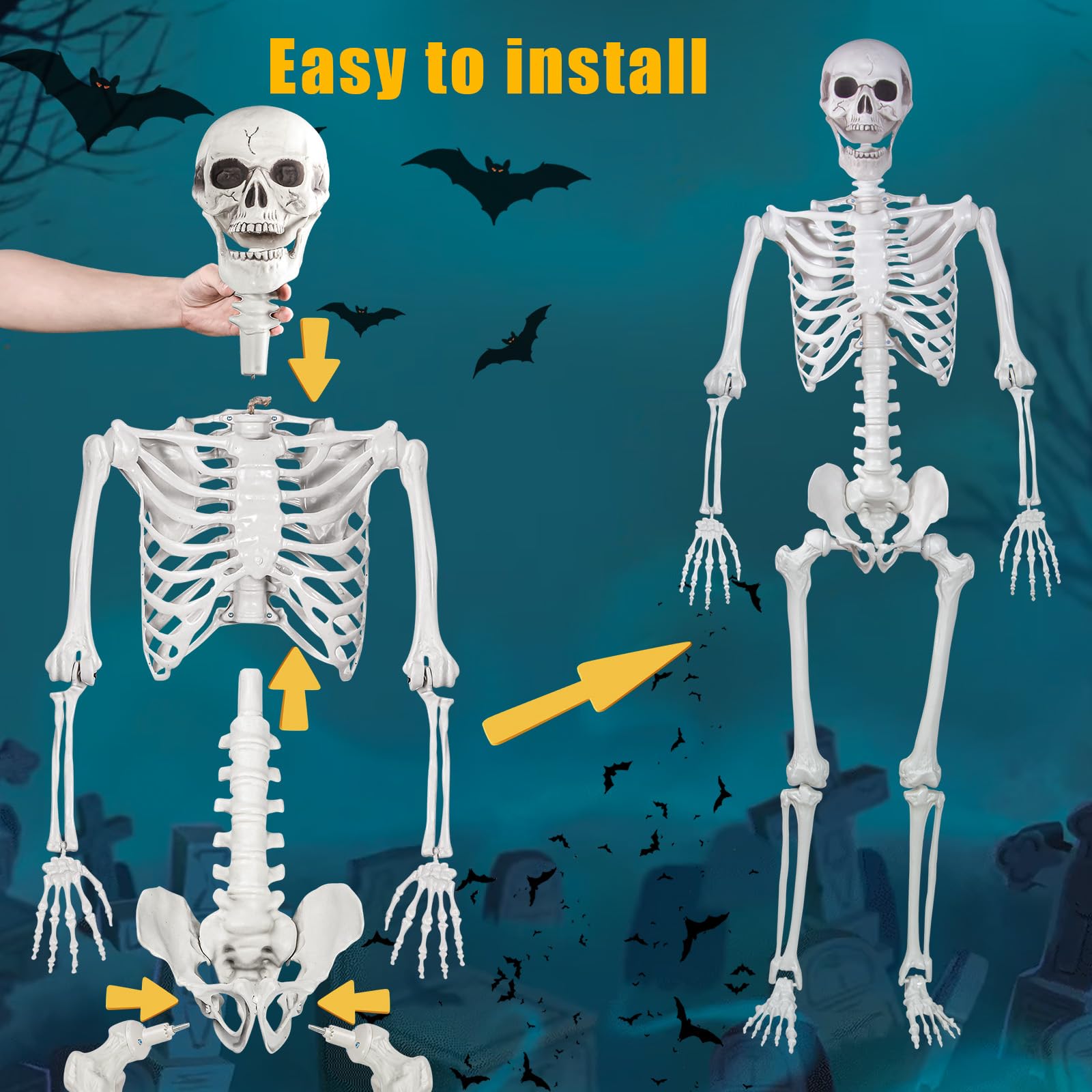 LaLamona skeleton in classroom setting for educational use