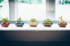 LamDawn ceramic pot filled with a small succulent placed on a desk