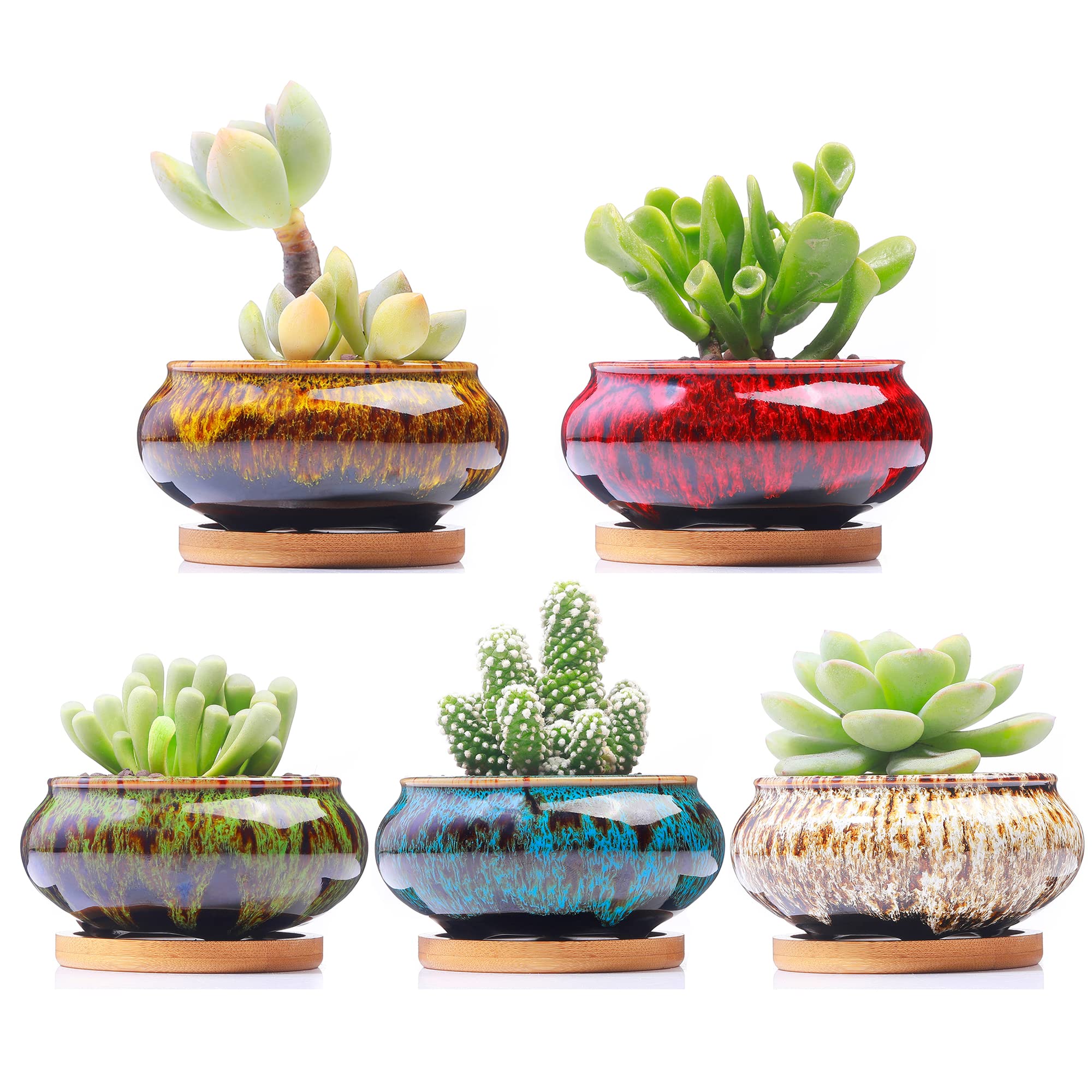 LamDawn ceramic succulent pot with saucer in vibrant burner colour
