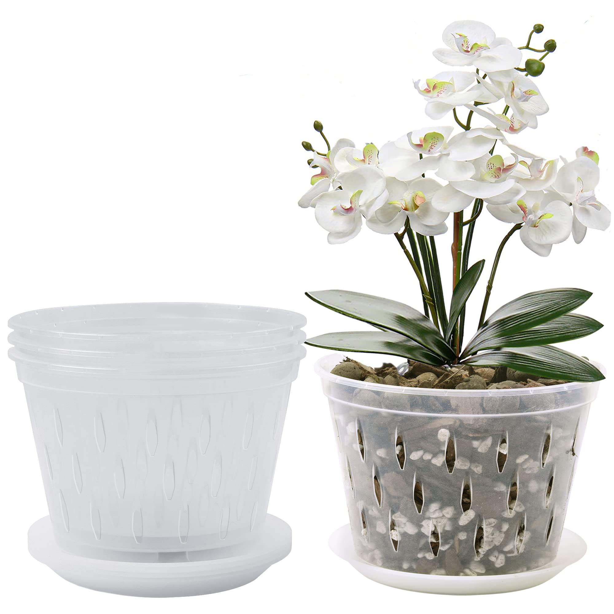 lanccona 8 Inch Clear Orchid Pot front view with saucer