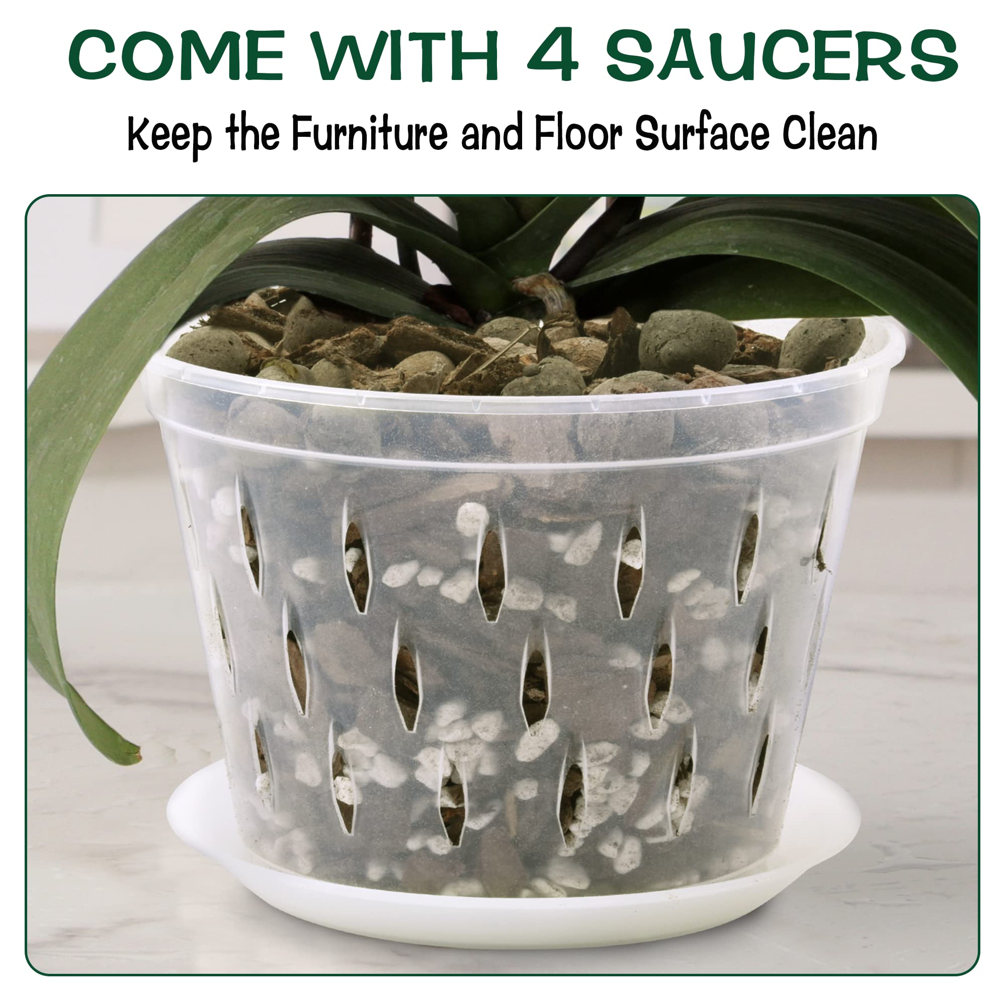 lanccona 8 Inch Clear Orchid Pot showing root visibility