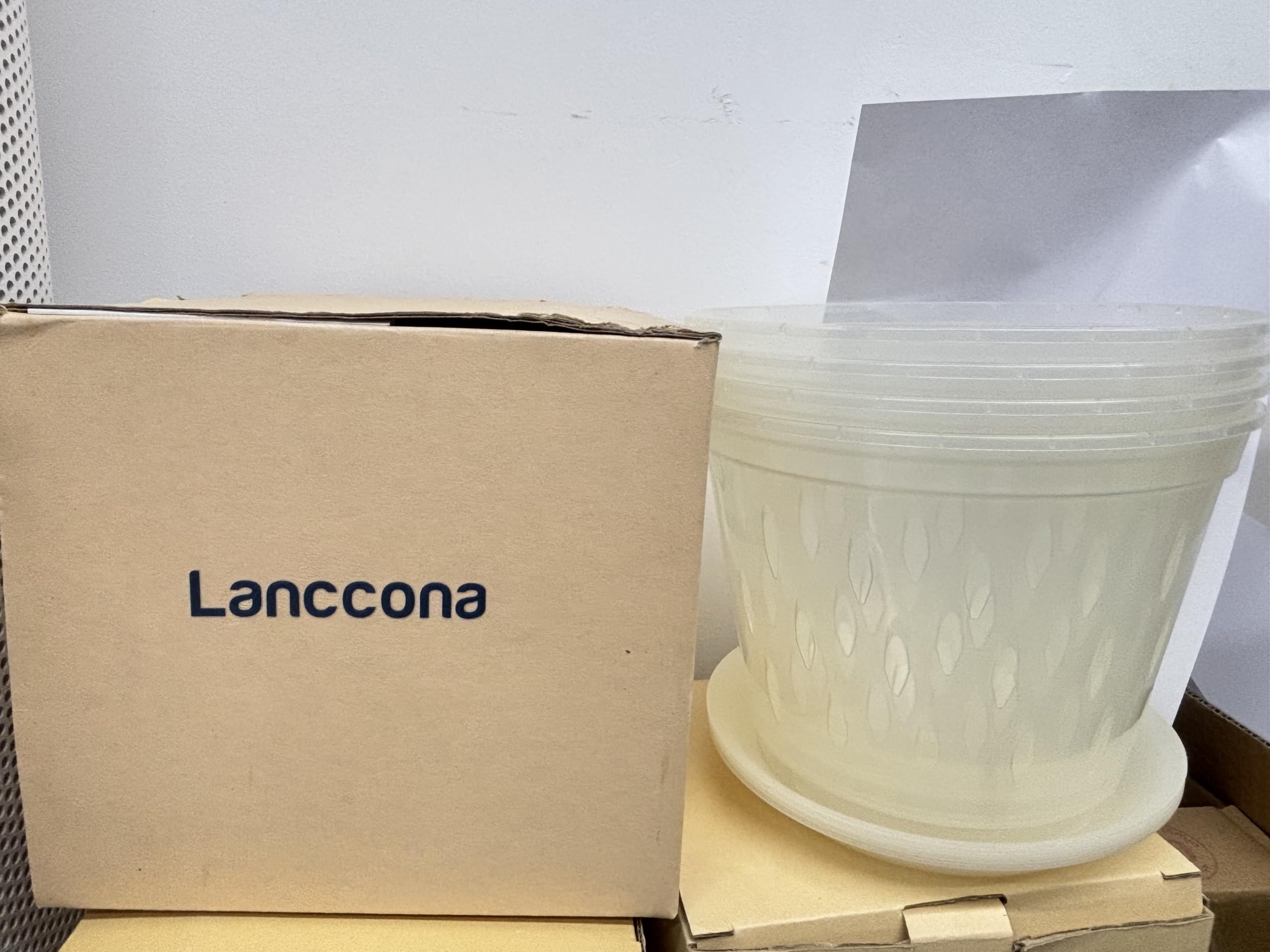 lanccona 8 Inch Clear Orchid Pot with drainage holes