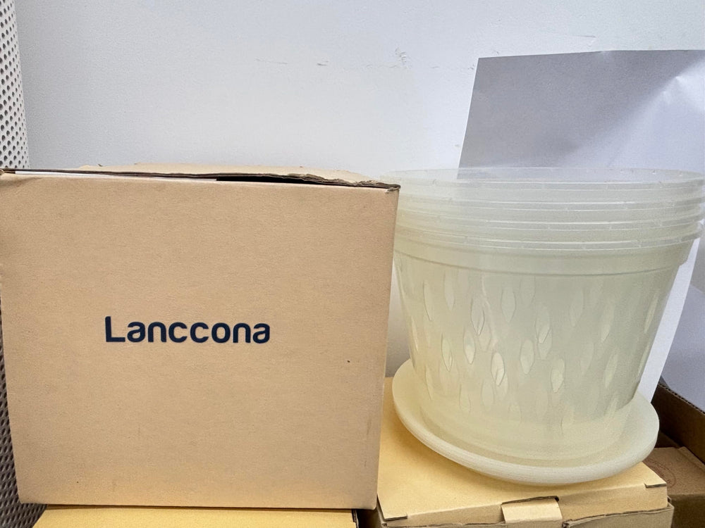 lanccona 8 Inch Clear Orchid Pot with drainage holes
