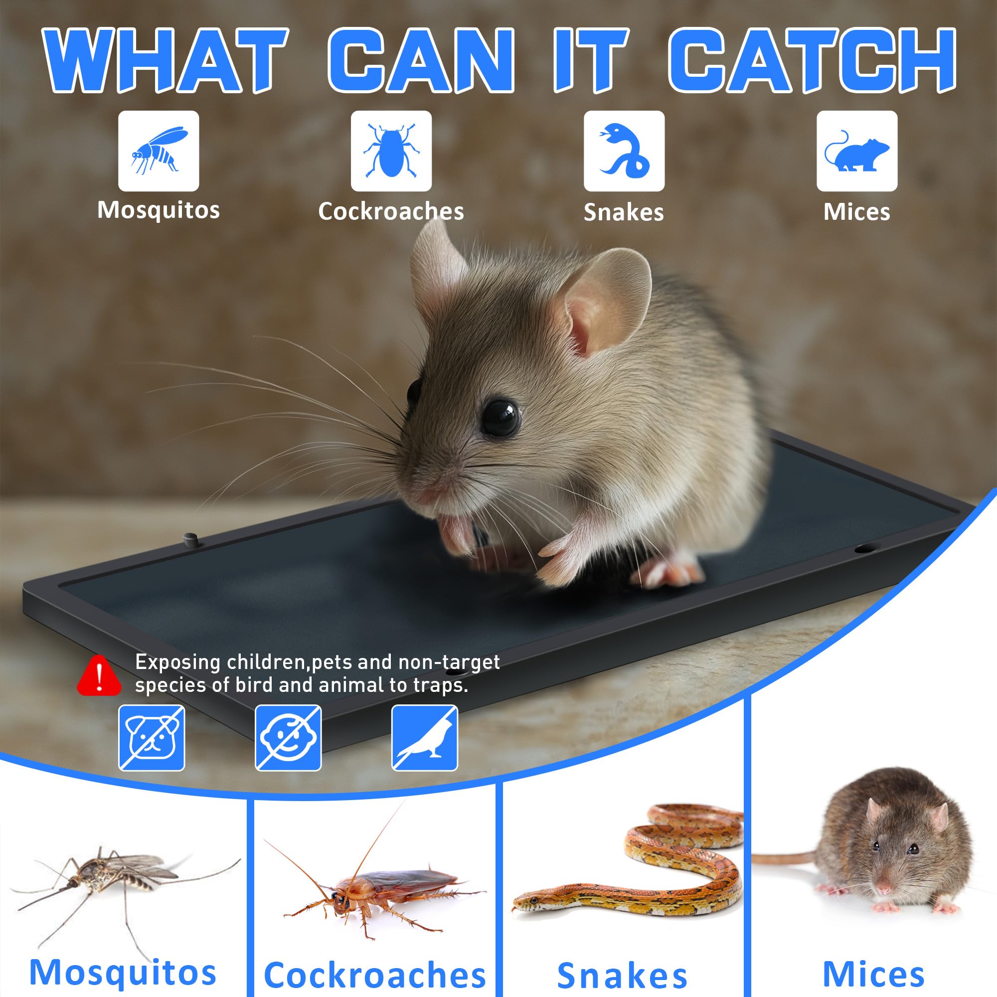 Landisun Glue Trap with bait set on it