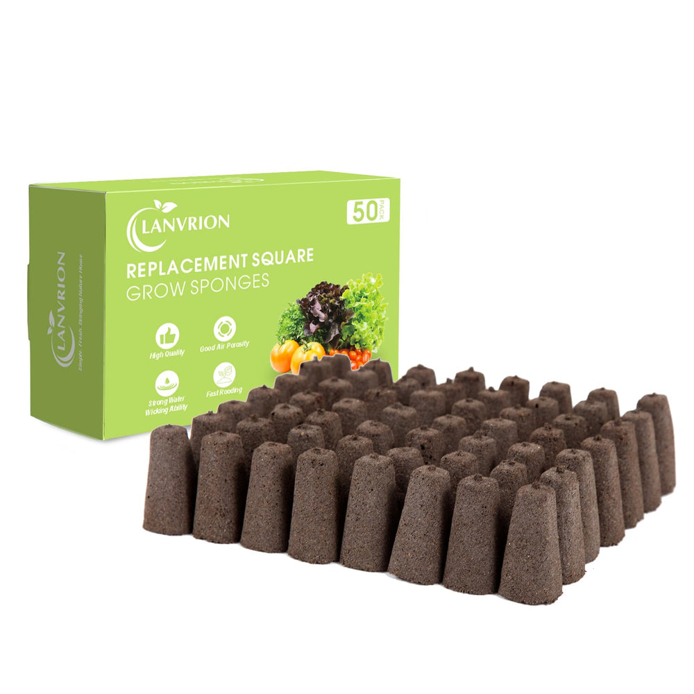 LANVRION Grow Sponges 50 pack front view