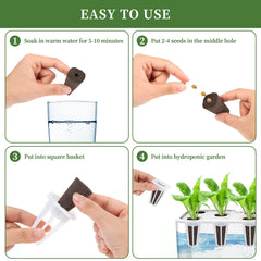 LANVRION Grow Sponges in hydroponic system
