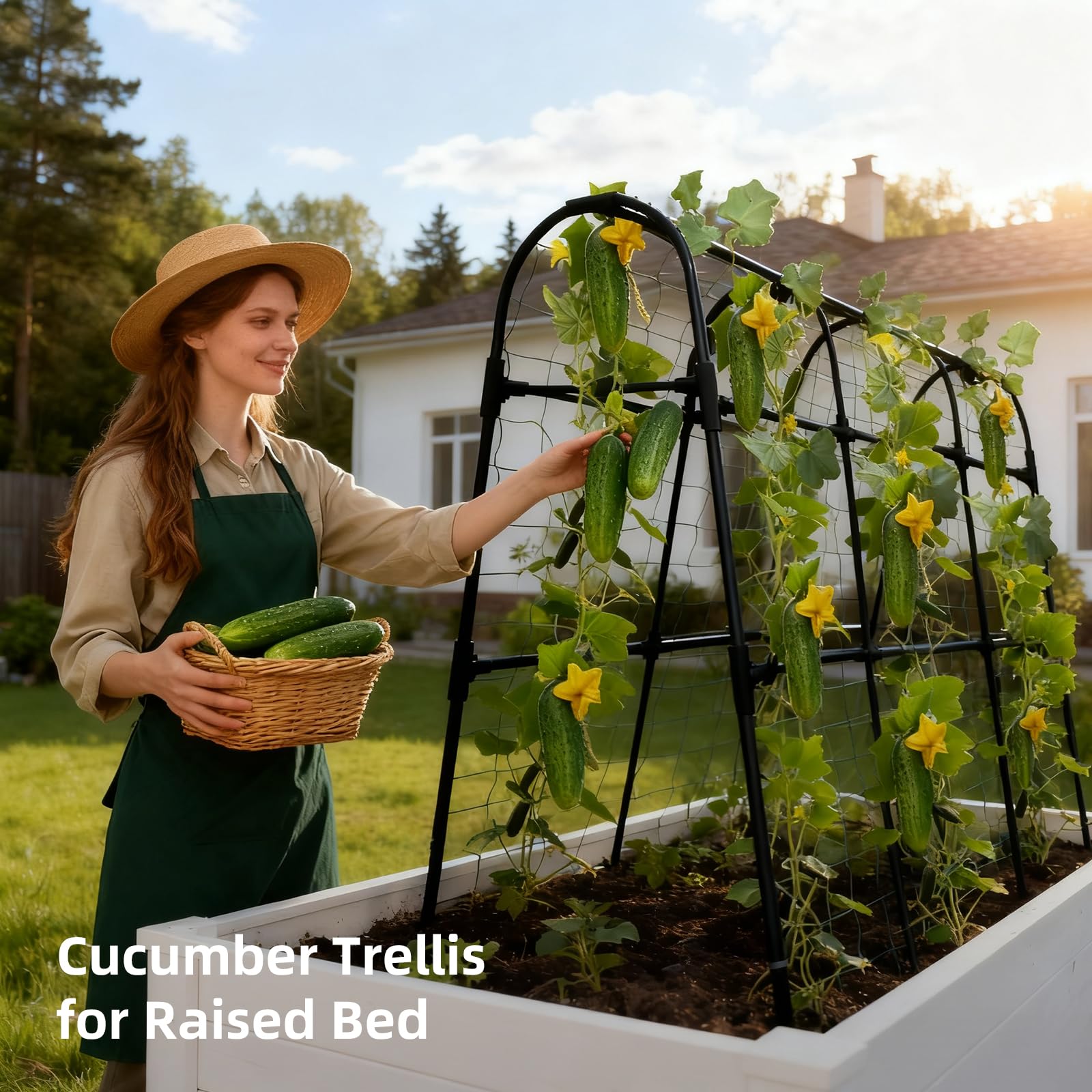 Laodier Cucumber Trellis in a garden setting