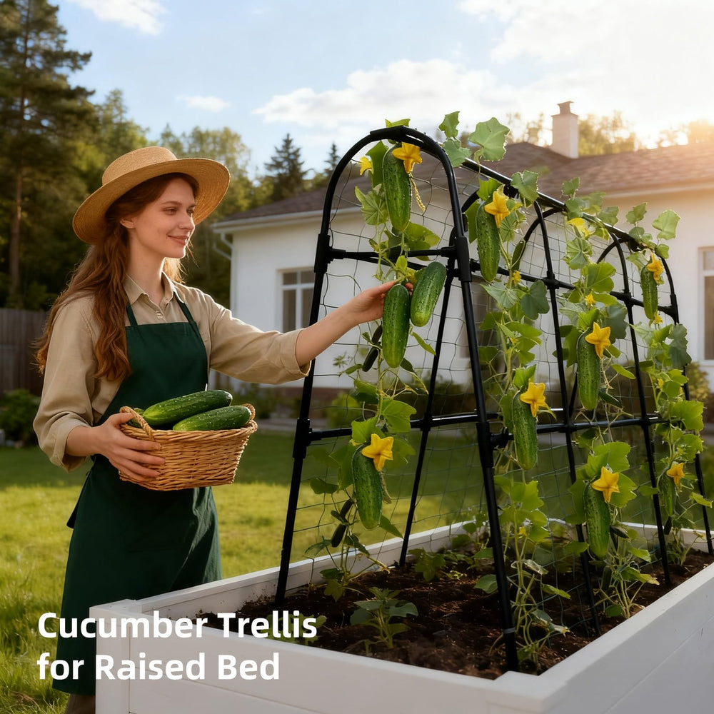 Laodier Cucumber Trellis in a garden setting