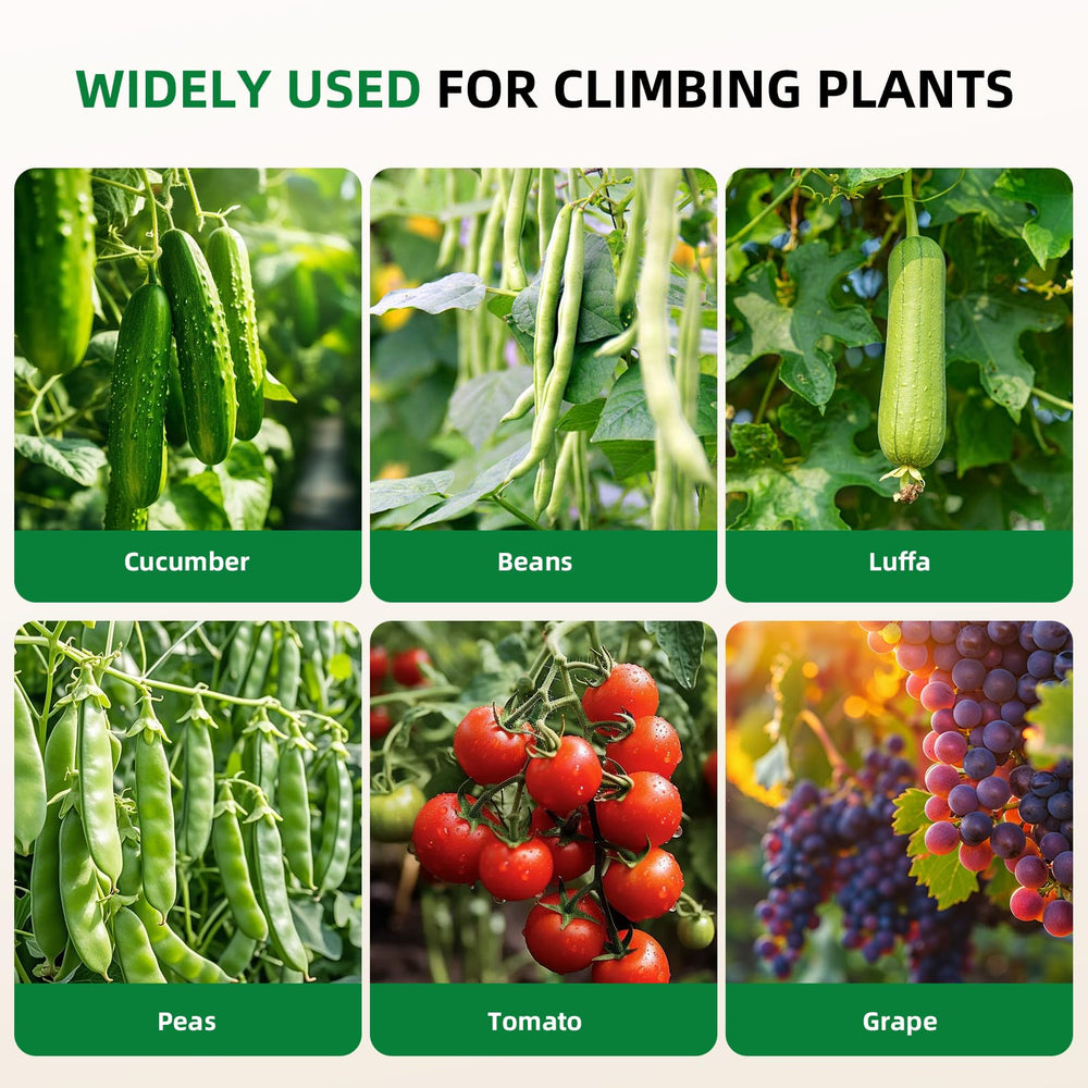 Laodier Cucumber Trellis packaging and product details