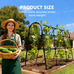 Laodier Cucumber Trellis side view with climbing plants