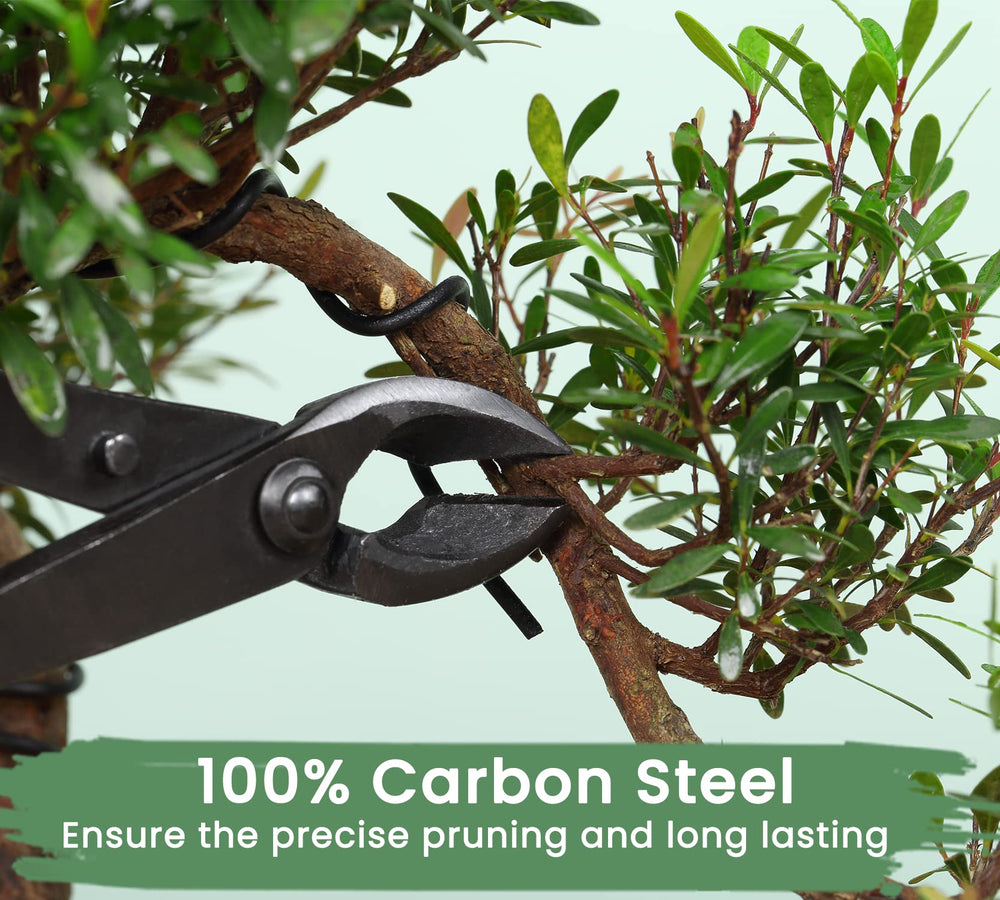 Large butterfly shear from SOLIGT Bonsai Tool Set