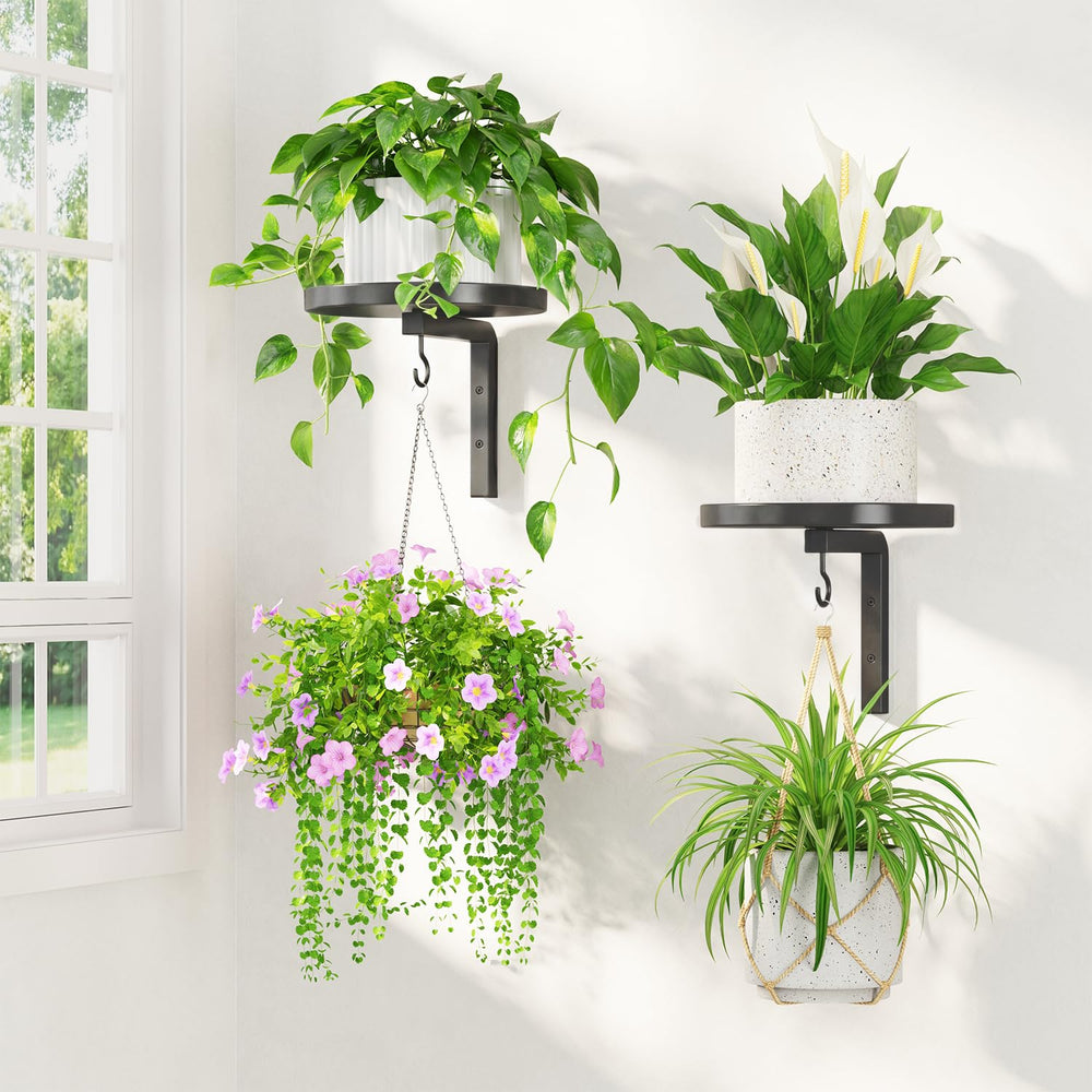LASZOLA Plant Hanger Holder black wall mounted holder front view
