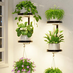 LASZOLA plant hanger holder shelf black front view with grow lights