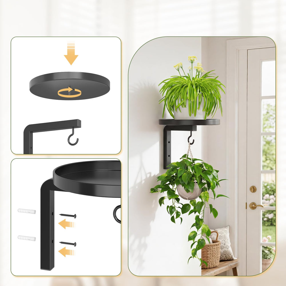 LASZOLA Plant Hanger in a modern home setting