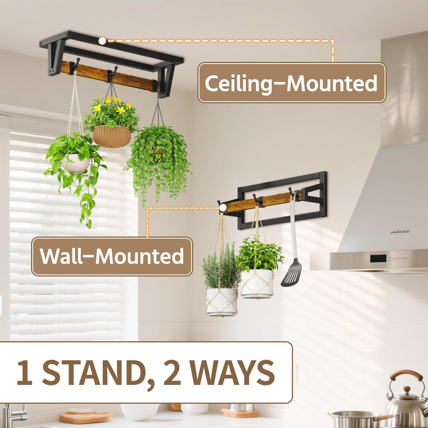 LASZOLA plant hanger mounted on ceiling with various plants