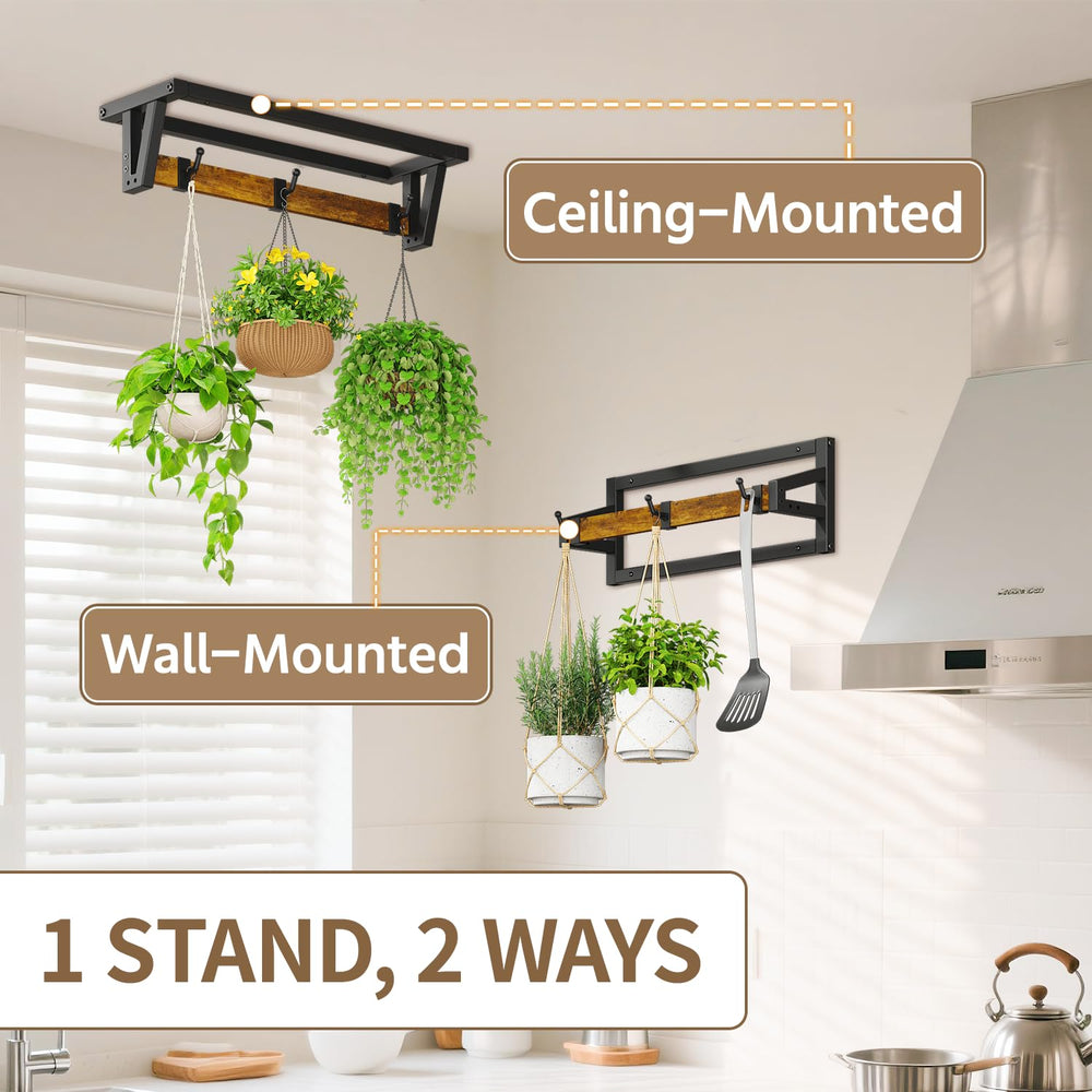 LASZOLA plant hanger mounted on ceiling with various plants