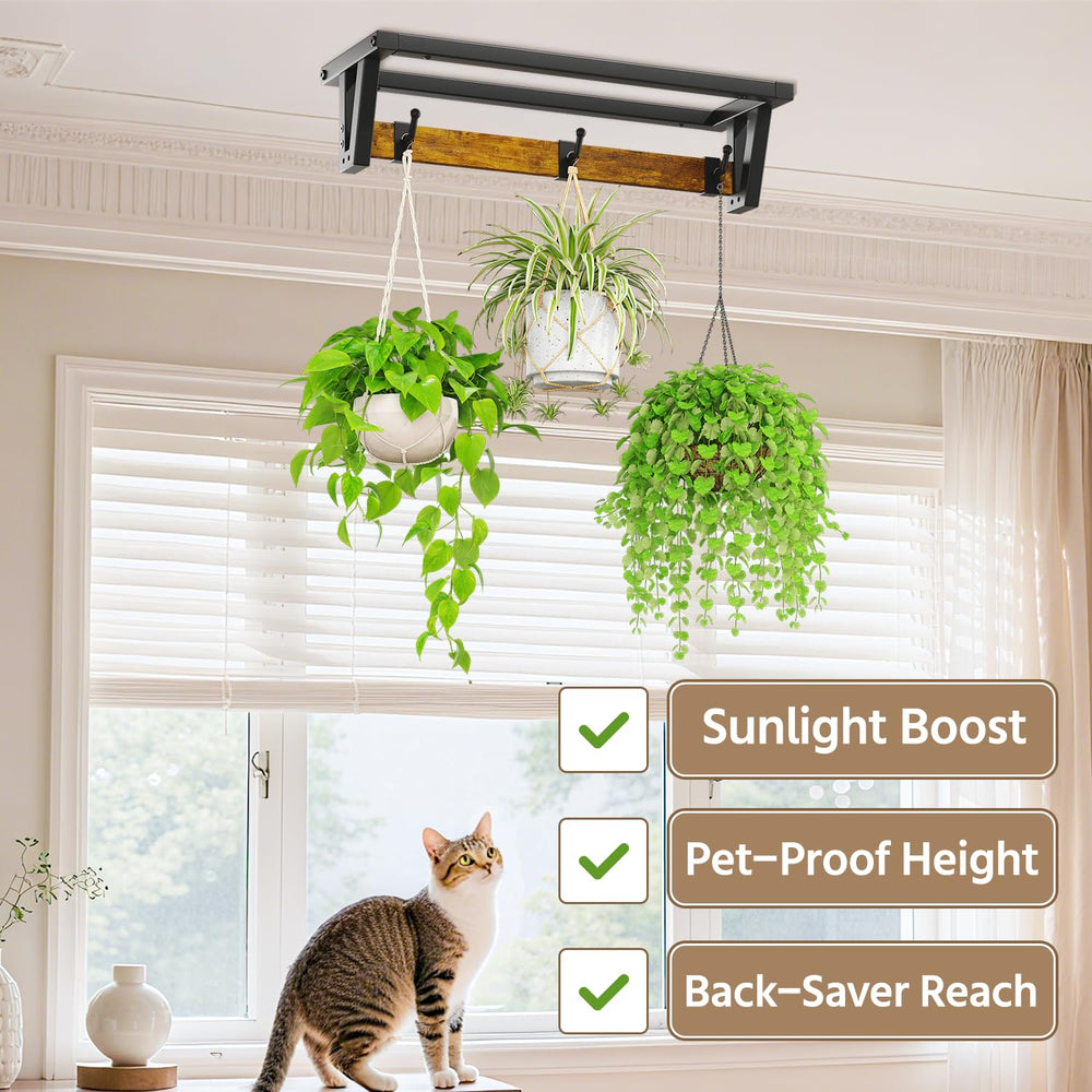 LASZOLA plant hanger showing robust triangular frame