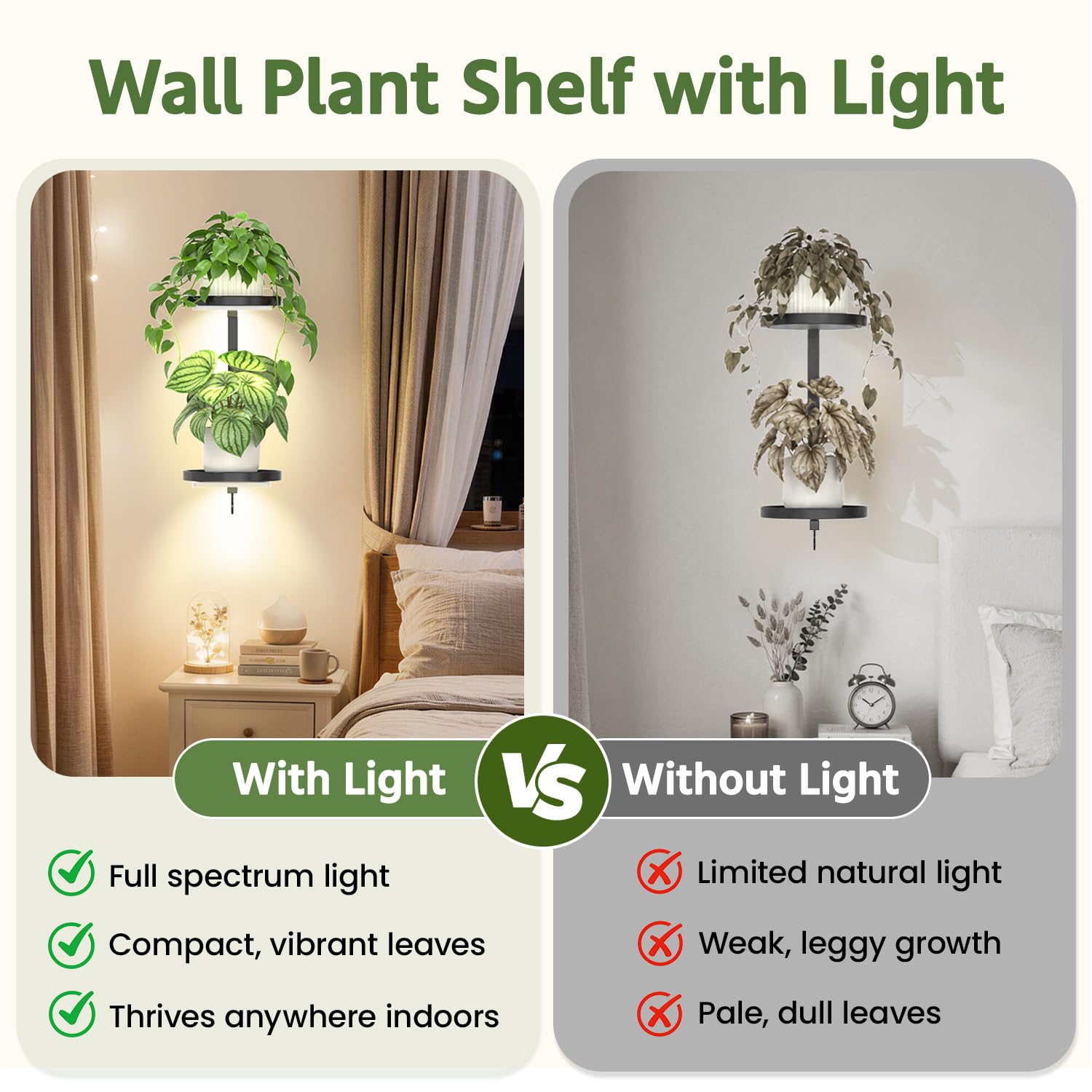 LASZOLA plant hanger wall mount with plants and decorative elements