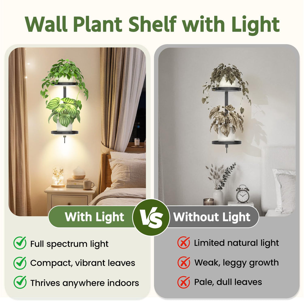 LASZOLA plant hanger wall mount with plants and decorative elements