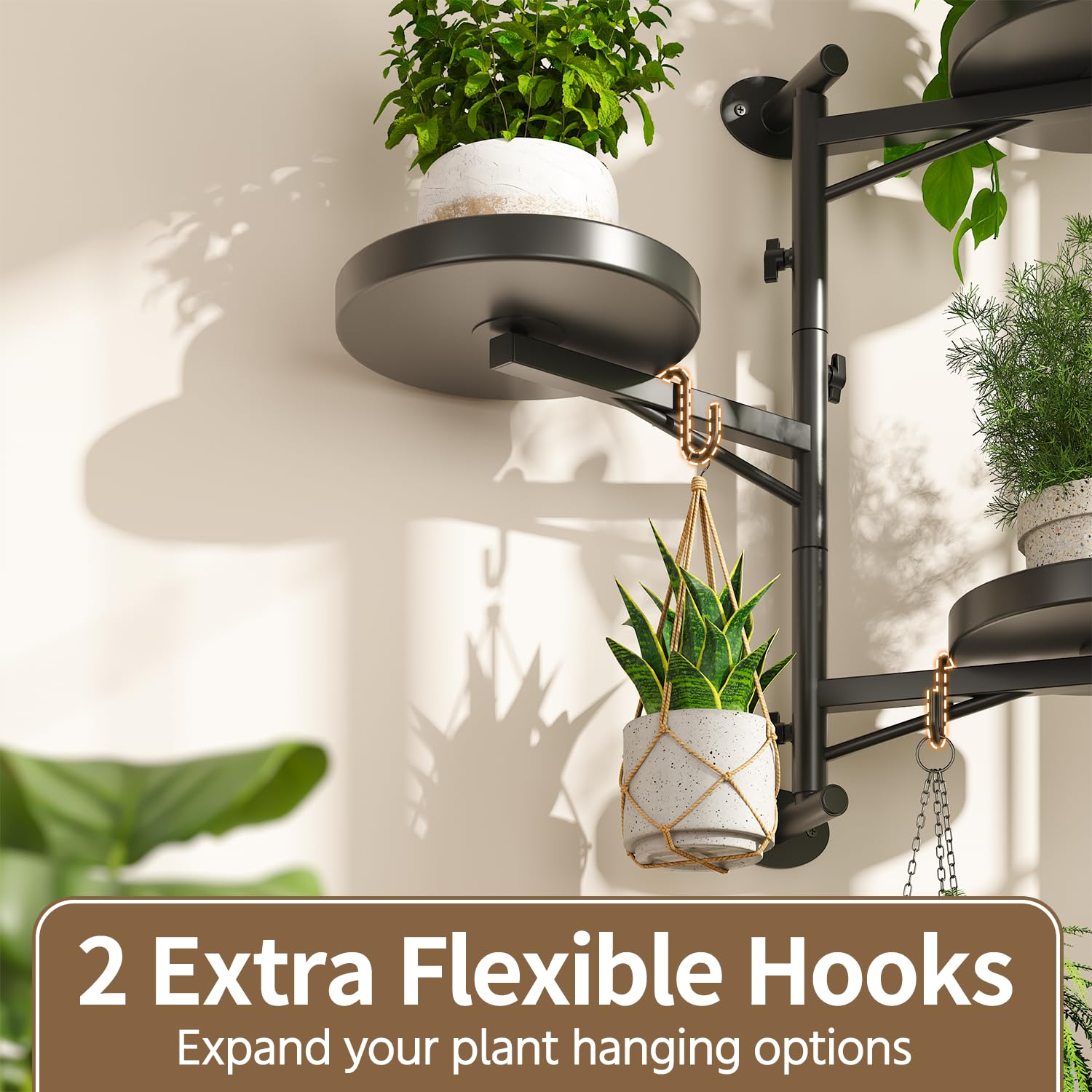 LASZOLA Rotating Plant Hanger mounted on a wall with plants