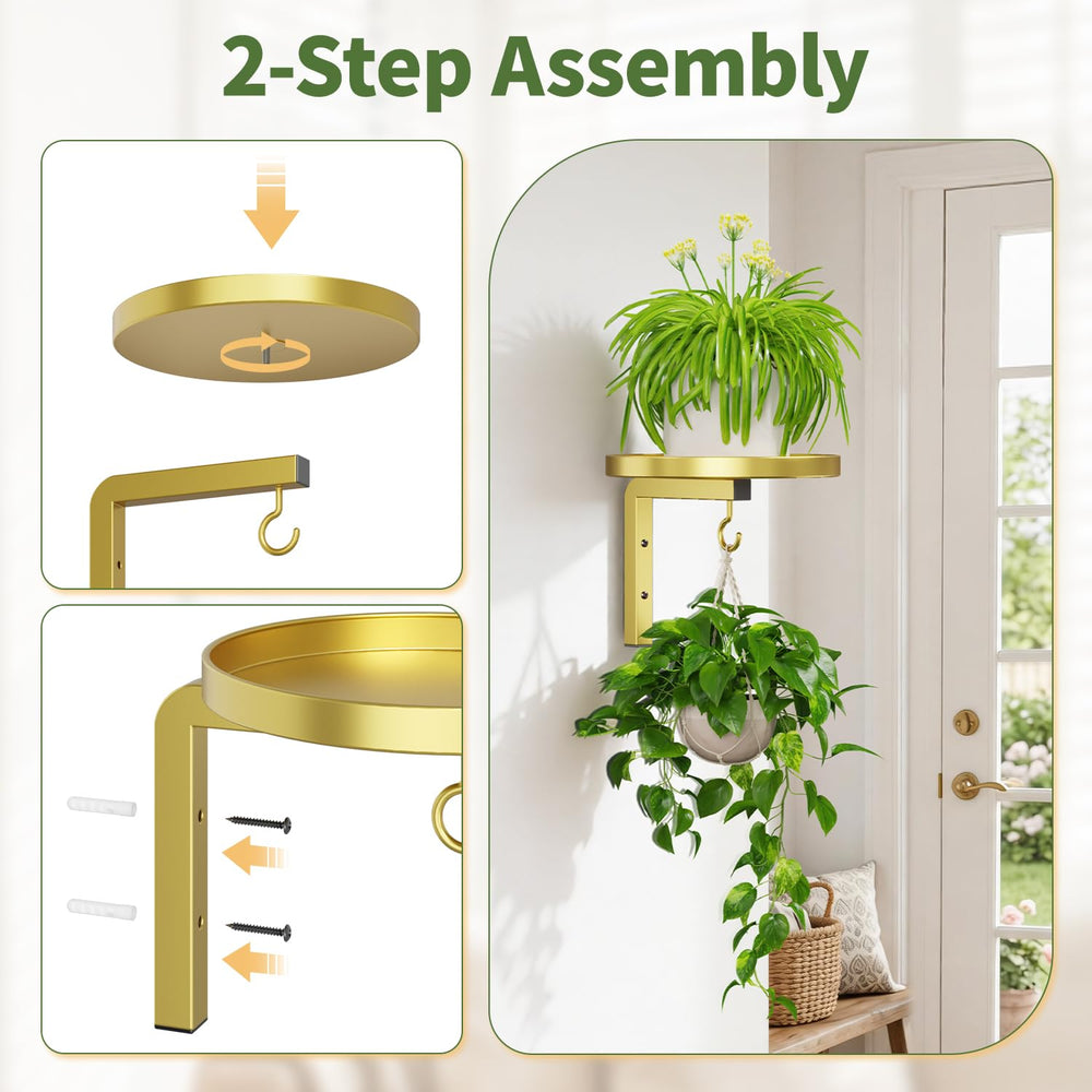 LASZOLA Wall Mount Plant Shelves displaying indoor plants