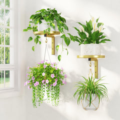 LASZOLA wall mounted plant hanger gold set of 2