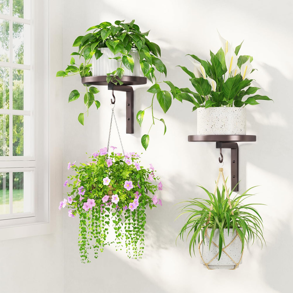 LASZOLA wall mounted plant hanger holder, bronze color, front view