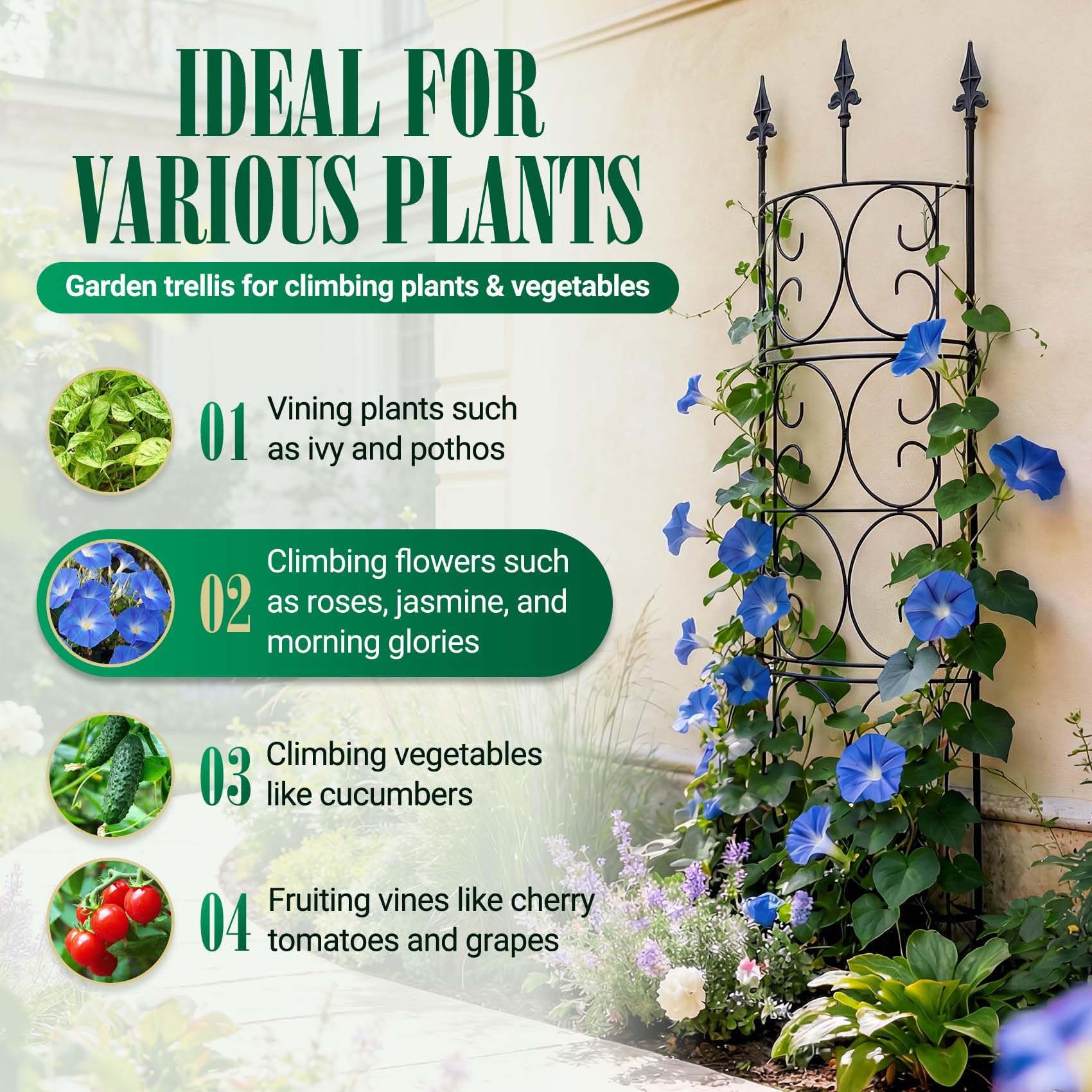 LATIHUUM Garden Trellis packaging and specifications