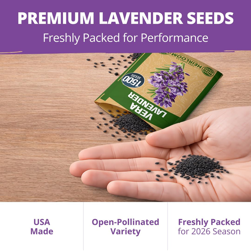 Lavender-infused baked goods using culinary lavender