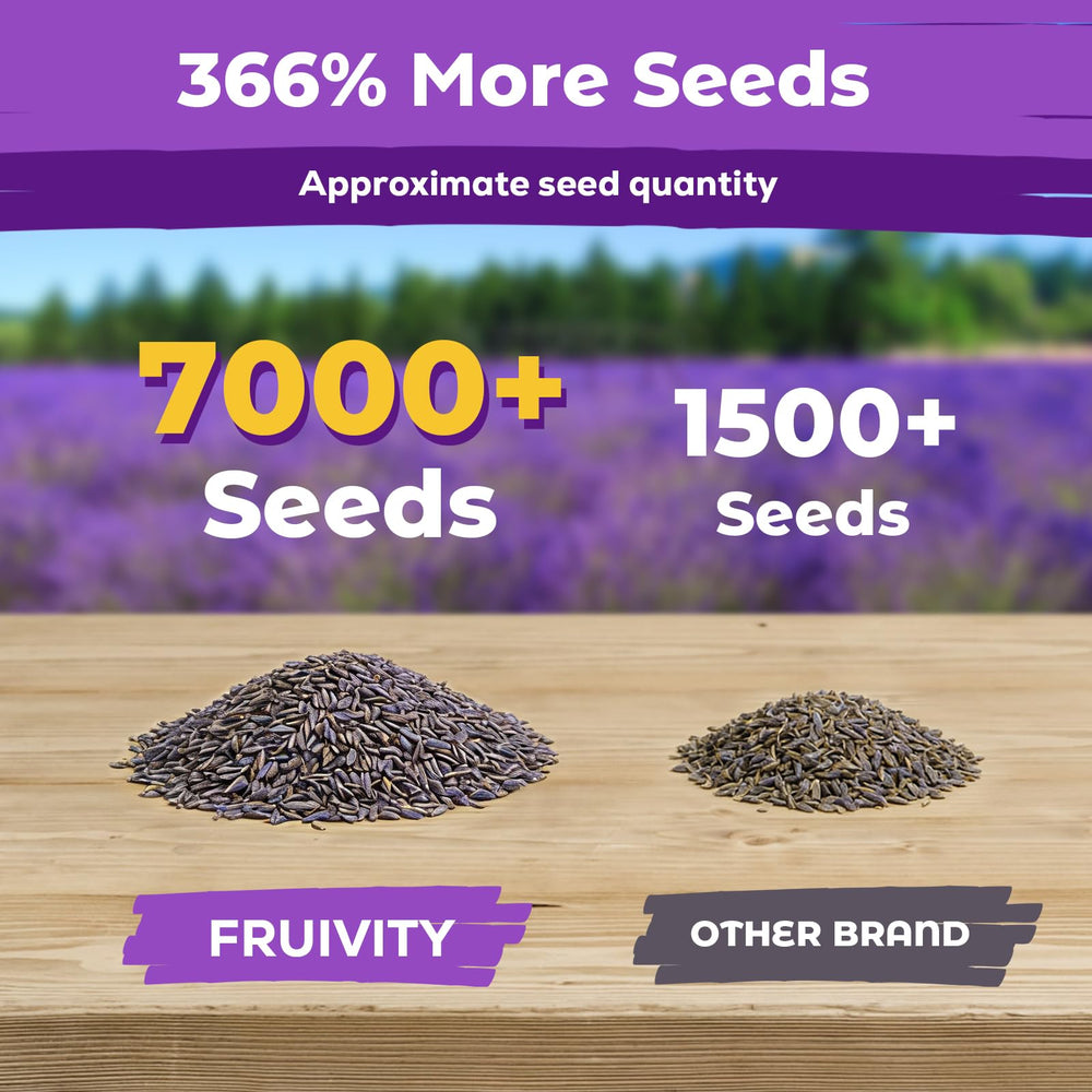 Lavender seeds sprouting in a garden setting
