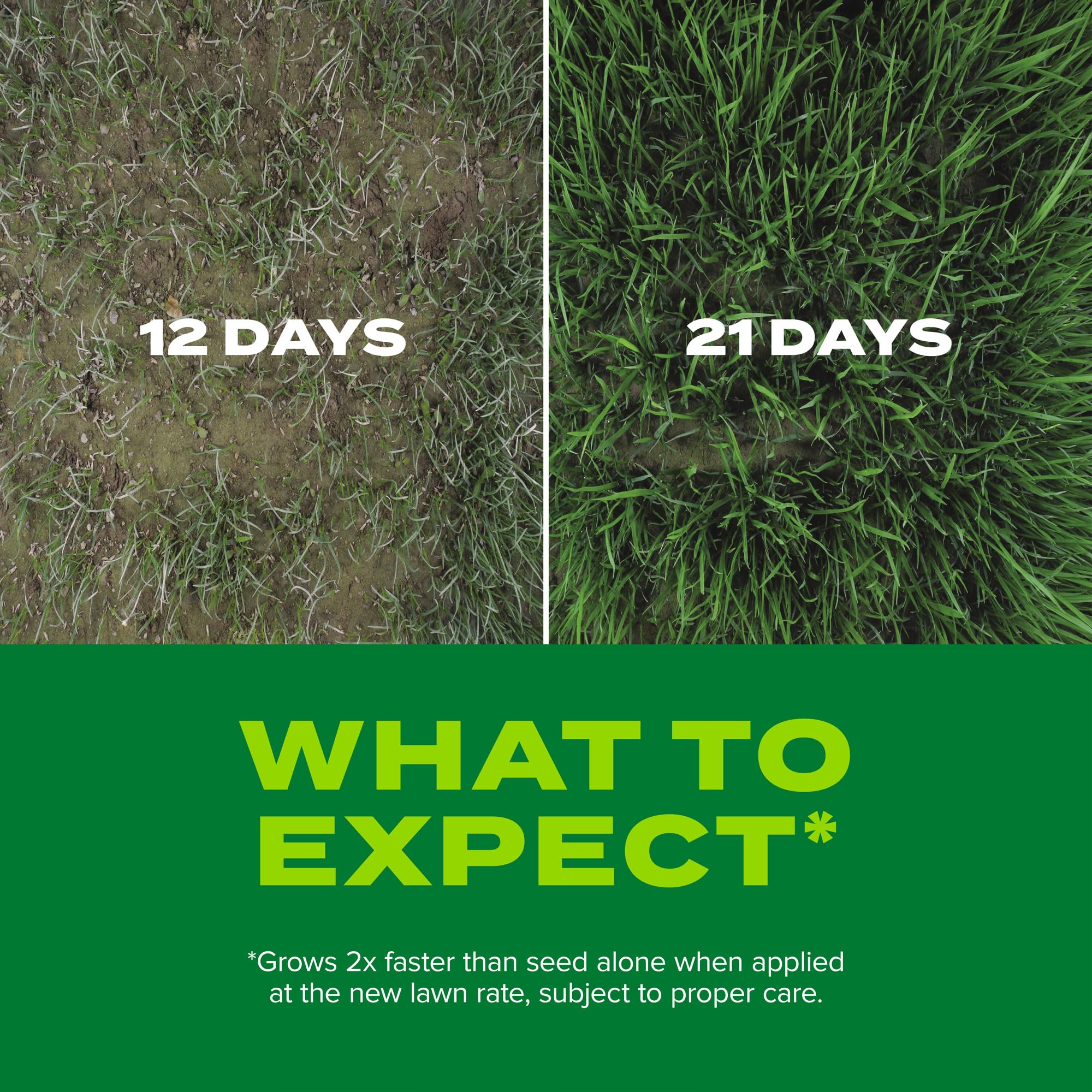 Lawn area with Scotts Turf Builder Rapid Grass applied