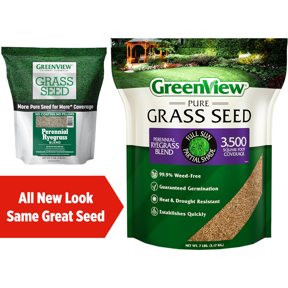 Lawn covered with vibrant green grass from GreenView seed