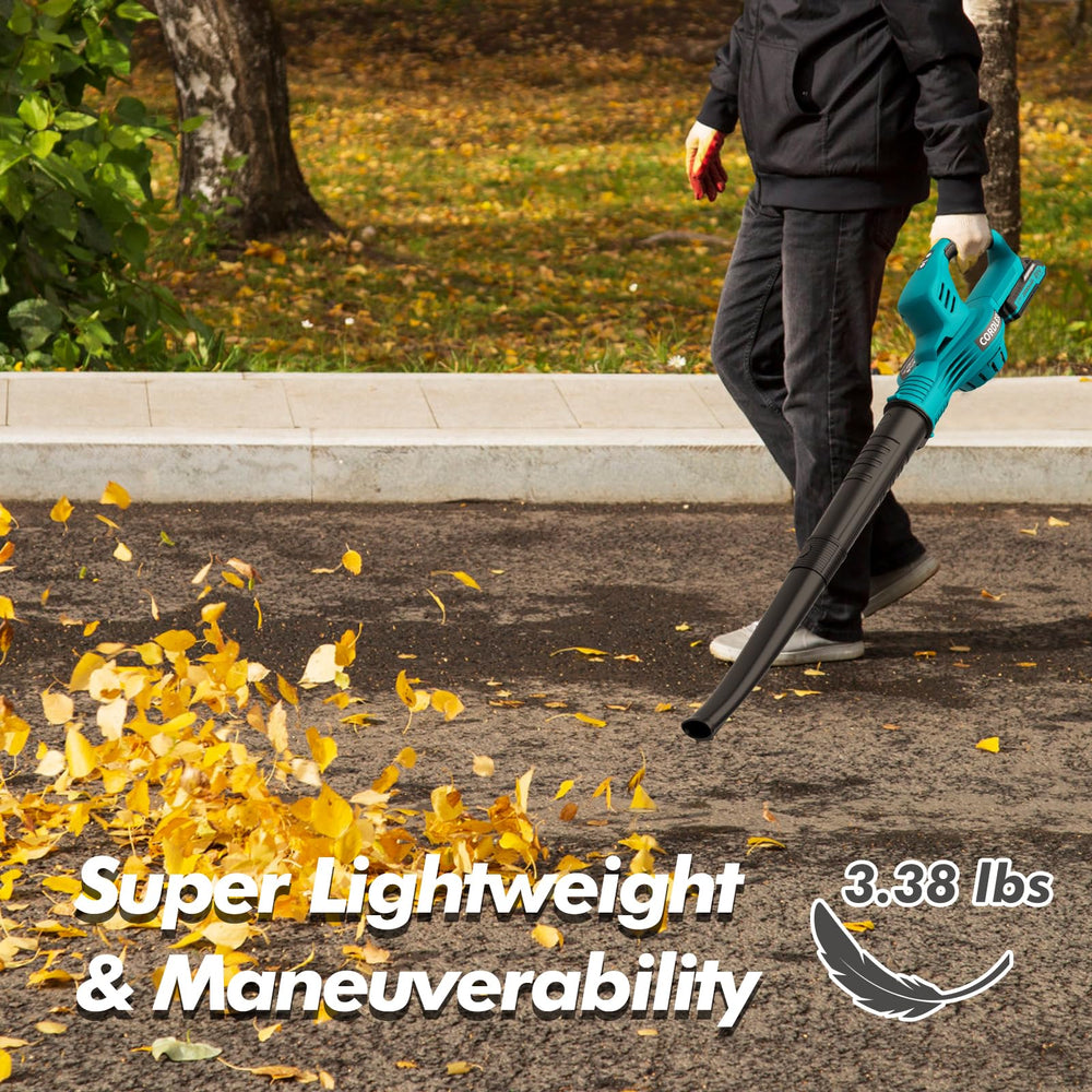 LAZYBOI Leaf Blower packaging with accessories