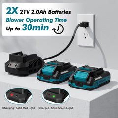 LAZYBOI Leaf Blower with batteries and charger