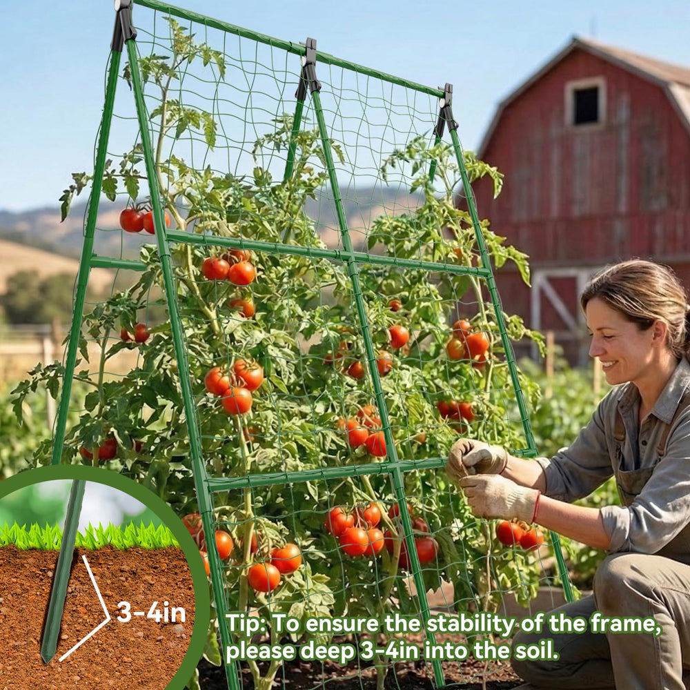 Lazzmonk trellis set in a garden with various plants