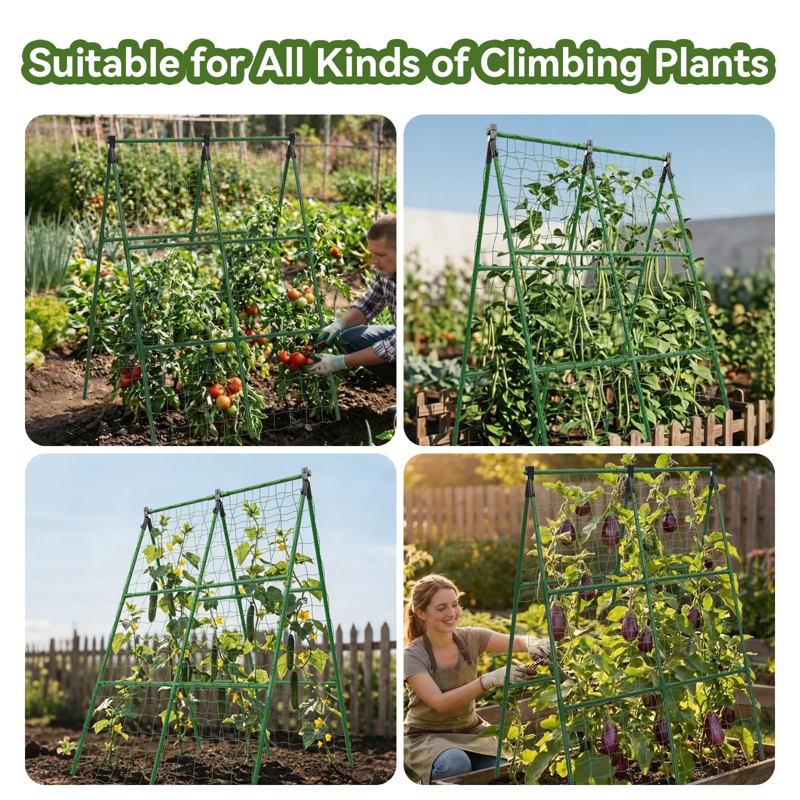Lazzmonk trellis with included accessories and tools