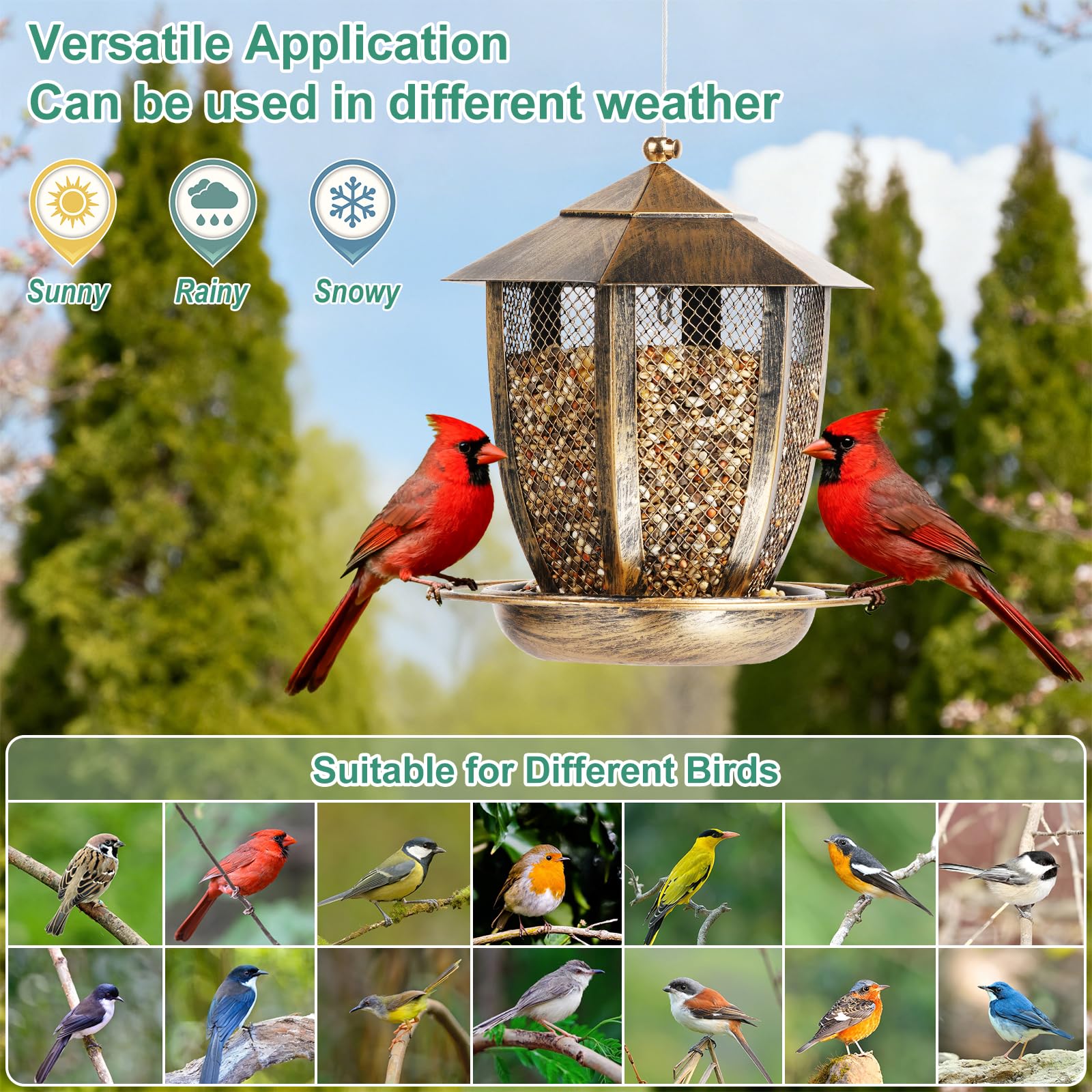 LBTING Bird Feeder hanging from a tree