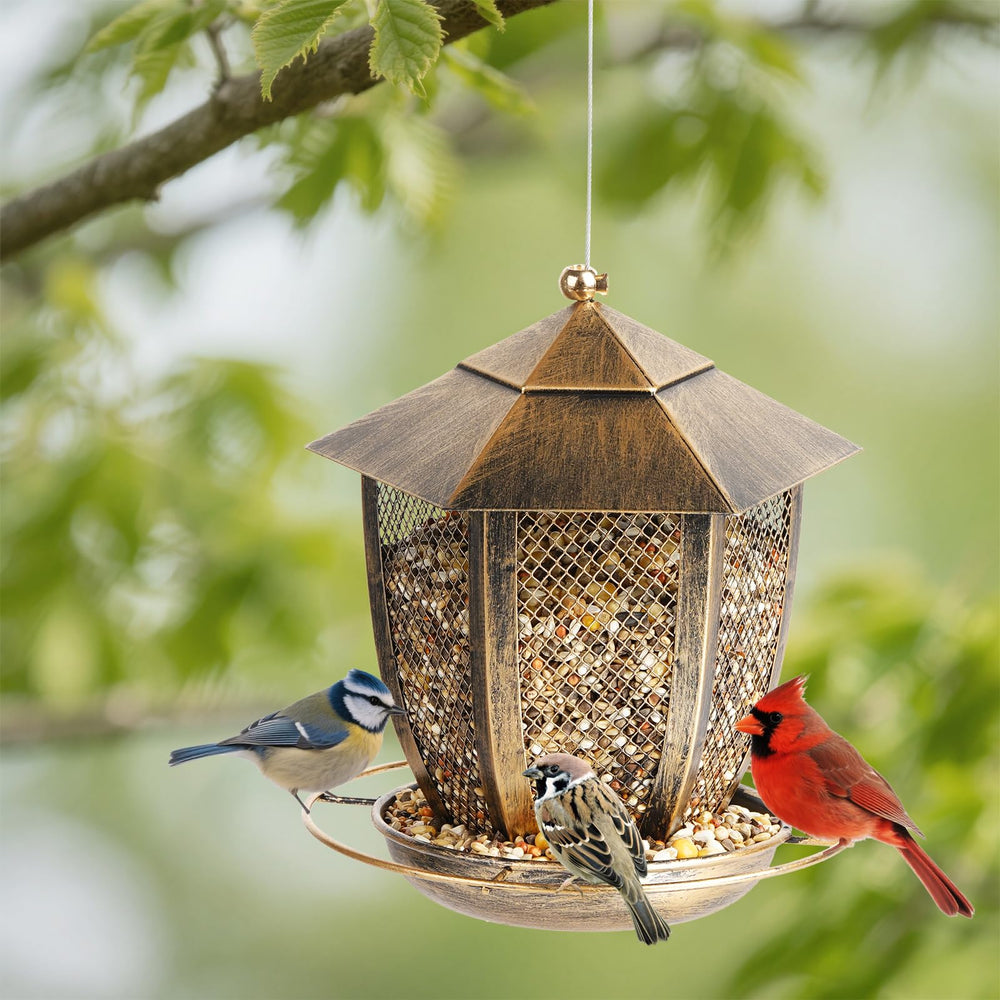 LBTING Hexagon Bird Feeder with water drainage holes visible