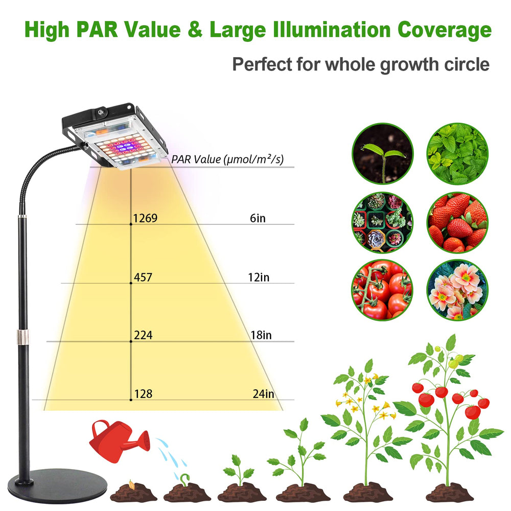 LBW Grow Light illuminating a variety of indoor plants