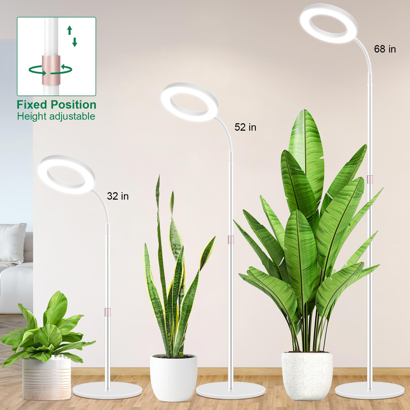 LBW Grow Light in use with various houseplants