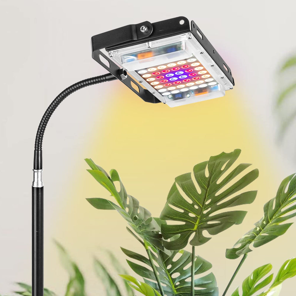 LBW Grow Light positioned for potted plants