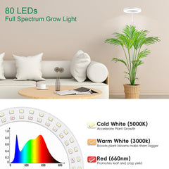 LBW Grow Light showing adjustable telescopic rod and metal base