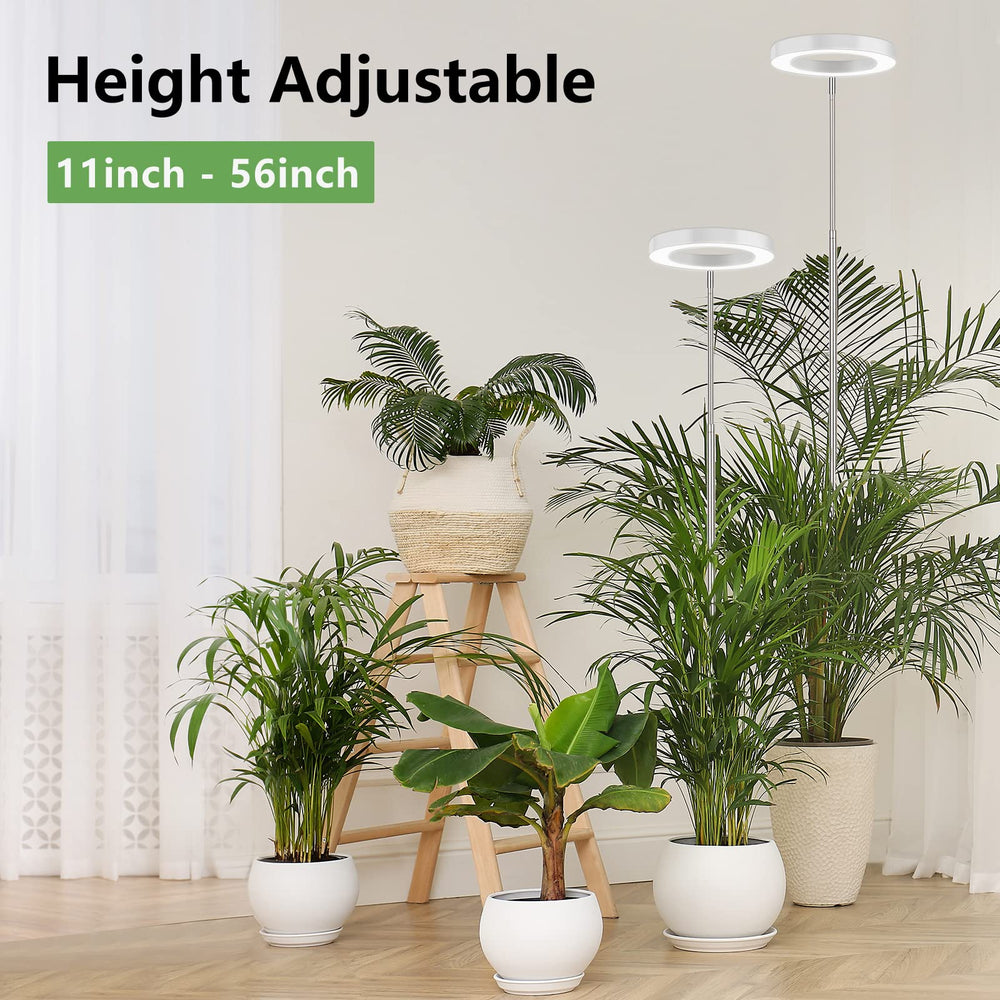 LBW Grow Light showing height adjustment feature