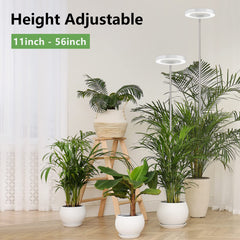 LBW Grow Light showing height adjustment feature