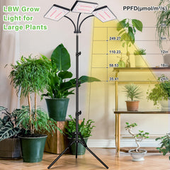 LBW Grow Light showing tripod and gooseneck setup