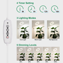 LBW Grow Light with stand set up beside indoor plants