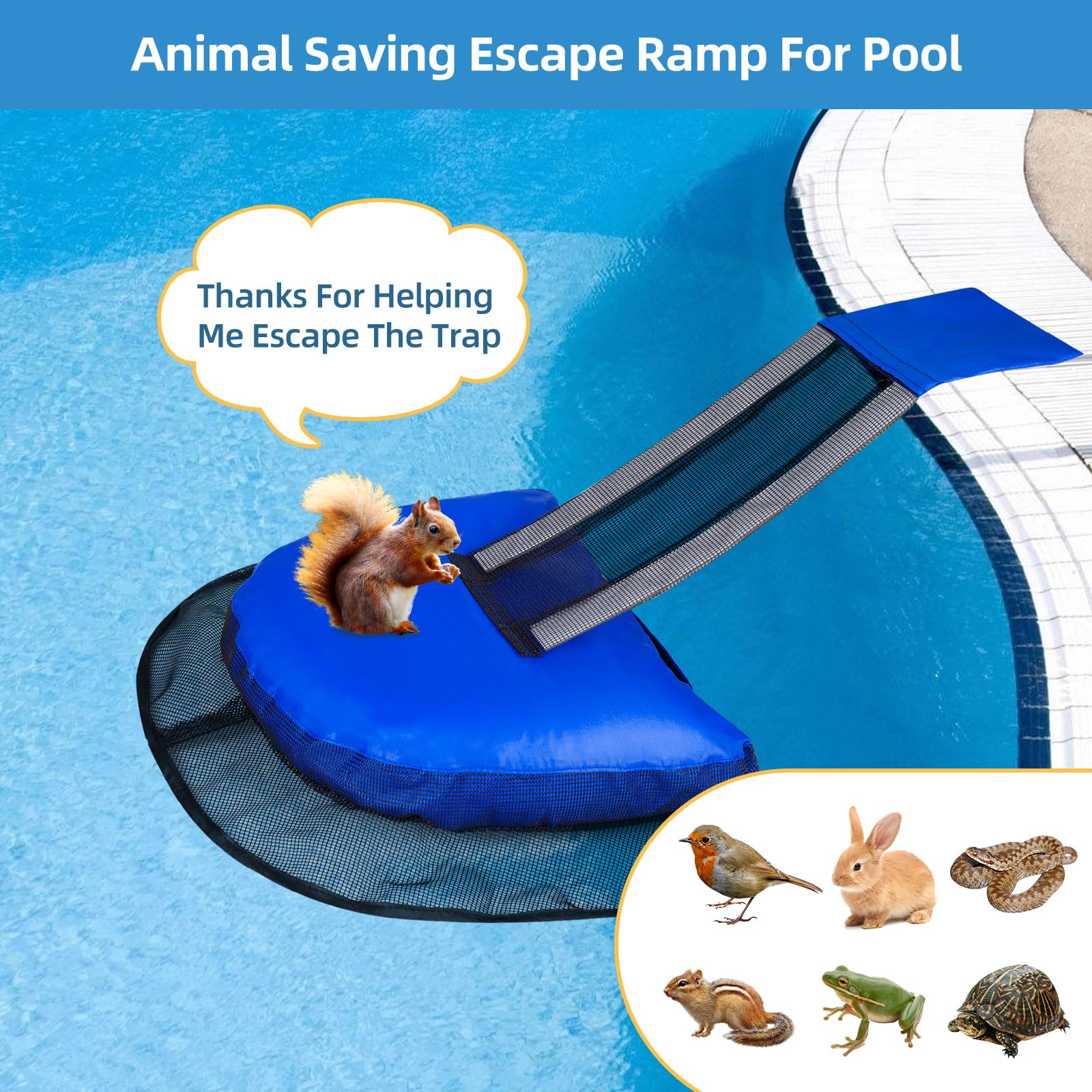 LCHUANG Pool Animal Escape Ramp side view with reflective strips