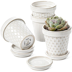 LE TAUCI 4-inch ceramic succulent pot in arctic white front view